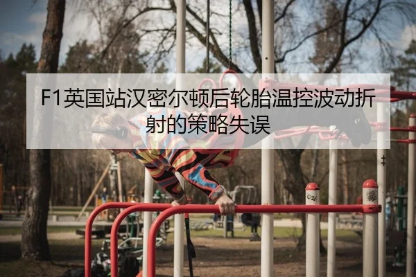 F1英国站汉密尔顿后轮胎温控波动折射的策略失误